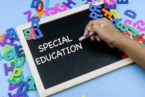 Special Education and Related Services Grid